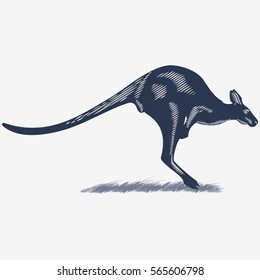 Kangaroo on the grass, in the blue color, illustration, vector