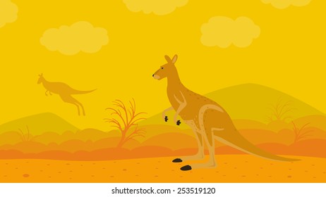 Kangaroo on the Nature