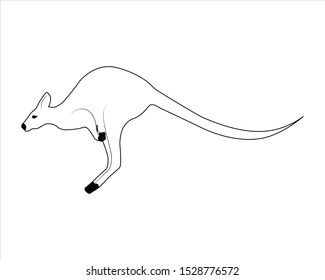 Kangaroo outline. Isolated. Flat vector icon. Vector graphics. Banner, poster, flyer.