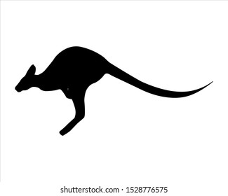 Kangaroo outline. Isolated. Flat vector icon. Vector graphics. Banner, poster, flyer.