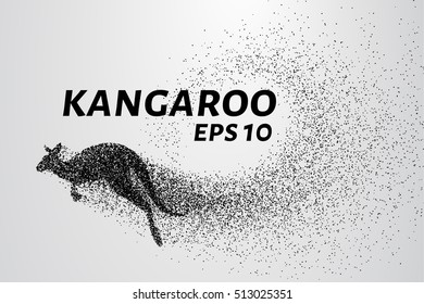 Kangaroo of particles. Kangaroo consists of small circles and dots.