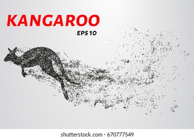 Kangaroo of particles. Kangaroo consists of small circles and dots