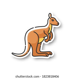 Kangaroo patch. Exotic wallaby, wild wallaroo. Tropical zoo inhabitant. Australian fauna, zoology RGB color printable sticker. Jumping marsupial animal vector isolated illustration