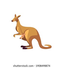 kangaroo portrait of wild australian animal, isolated on white background vector illustration