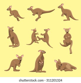 Kangaroo Poses Cartoon Vector Illustration