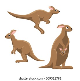 Kangaroo Poses Cartoon Vector Illustration-2