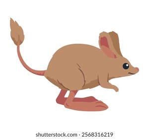 kangaroo rat desert animal icon isolated