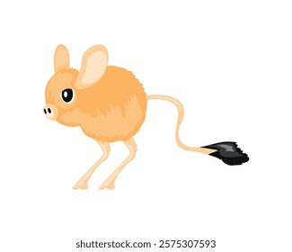 kangaroo rat desert animal icon isolated