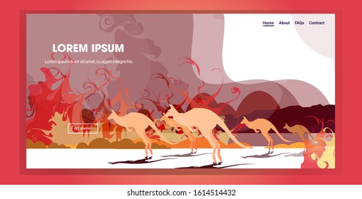 kangaroo running from forest fires in australia animals dying in wildfire bushfire natural disaster concept intense orange flames horizontal copy space vector illustration