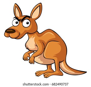 Kangaroo With Serious Face Illustration