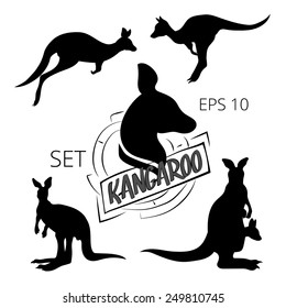 Kangaroo set of silhouettes, vector