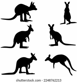 
kangaroo set, silhouettes, white background,