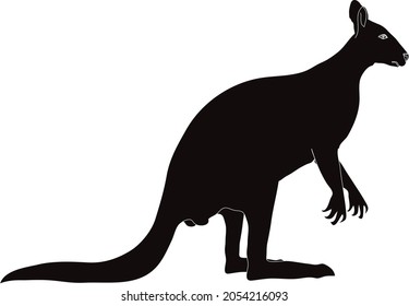 Kangaroo Silhoette , Australian wild life animal  black - Vector