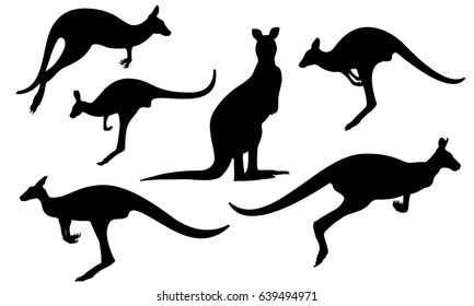 Kangaroo Silhouette