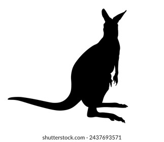 Kangaroo silhouette. Australian fauna. Marsupials. Vector illustration isolated on a white background