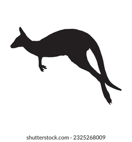 kangaroo silhouette black isolated in white background vector illustration