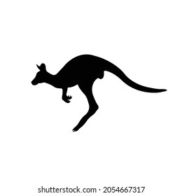 Kangaroo Silhouette on isolated background. Vector drawing