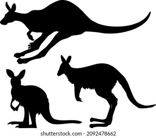 Kangaroo Silhouette Set Collection Australian Marsupial Mammal Wild Animal Fauna Vector Isolated on White