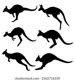 kangaroo silhouette set on white background.