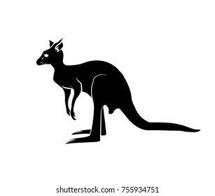 Kangaroo Silhouette Vector