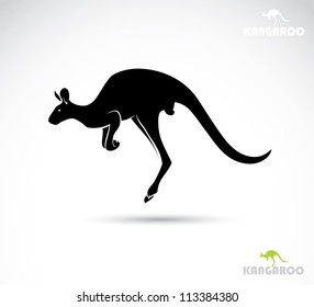 Kangaroo silhouette - vector illustration