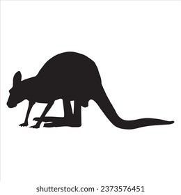 Kangaroo Silhouettes on a white background.