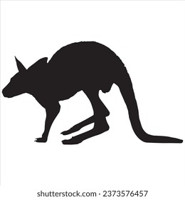 Kangaroo Silhouettes on a white background.