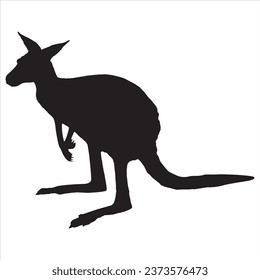 Kangaroo Silhouettes on a white background.