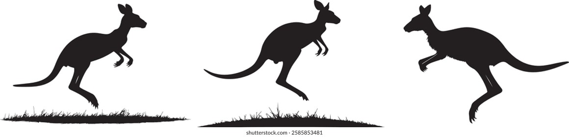 Kangaroo Silhouettes Vector Illustration, Isolated on White Background.