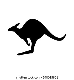 Kangaroo. Simple vector