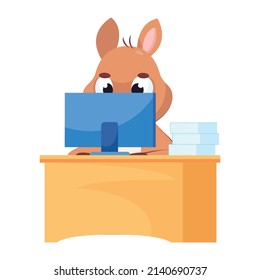 Kangaroo sitting at computer table and working. Busy and serious mammal looking at laptop screen cartoon vector illustration. Wildlife animal, marsupial, occupation concept