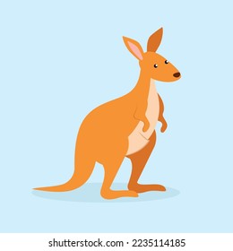 Kangaroo stands on its paws