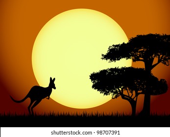 Kangaroo at sunset