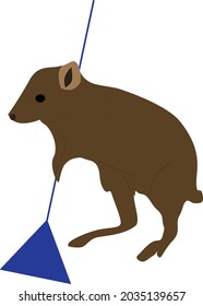 kangaroo sweeper on white background vector illustration