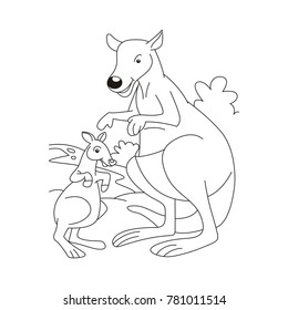 Kangaroo teaches the joey