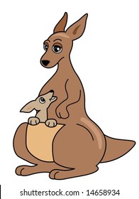 Kangaroo - Vector