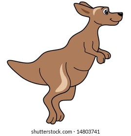 Kangaroo - Vector