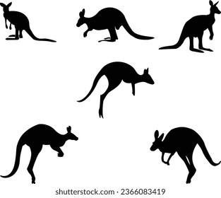 Kangaroo vector design: Energetic and versatile illustrations for a variety of creative projects