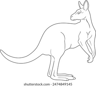 Kangaroo vector design handmade silhouette in black color.	
