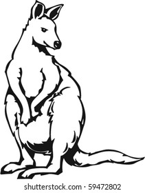 Kangaroo Vector Illustration