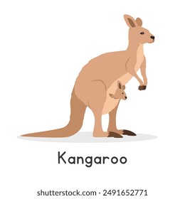 Kangaroo vector illustration, cartoon clipart character, animal in flat style. Wild animals, wild creatures, wildlife concept. Kangaroo vector design isolated on white background