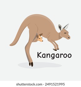 Kangaroo Vector Illustration: Iconic Australian Animal