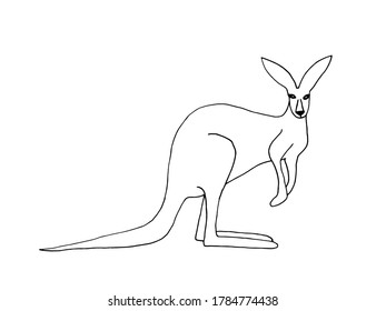 Kangaroo vector illustration. Isolated on white background.