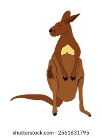 Kangaroo vector illustration isolated on white background. Australian animal portrait. Tourist symbol souvenir. Fauna best jumper. Zoo attraction.