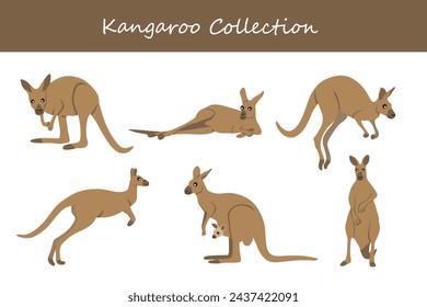 kangaroo vector illustration set. Cute kangaroo isolated on white background.