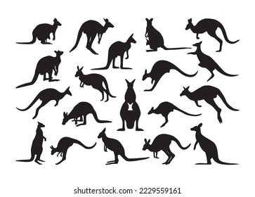 Kangaroo vector For Print, Kangaroo vector Clipart, Kangaroo vector Illustration