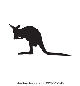 Kangaroo vector silhouette on white background.