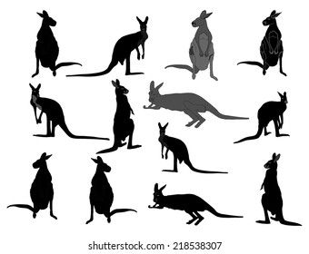 kangaroo vector silhouette set, isolated on white background. Kangaroo family illustration.