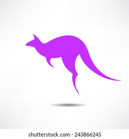 Kangaroo vector silhouettes  