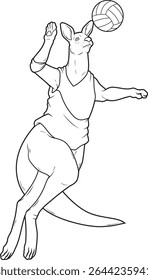 Kangaroo Jogador de voleibol Vôlei Animal Vetor Ilustração de arte gráfica